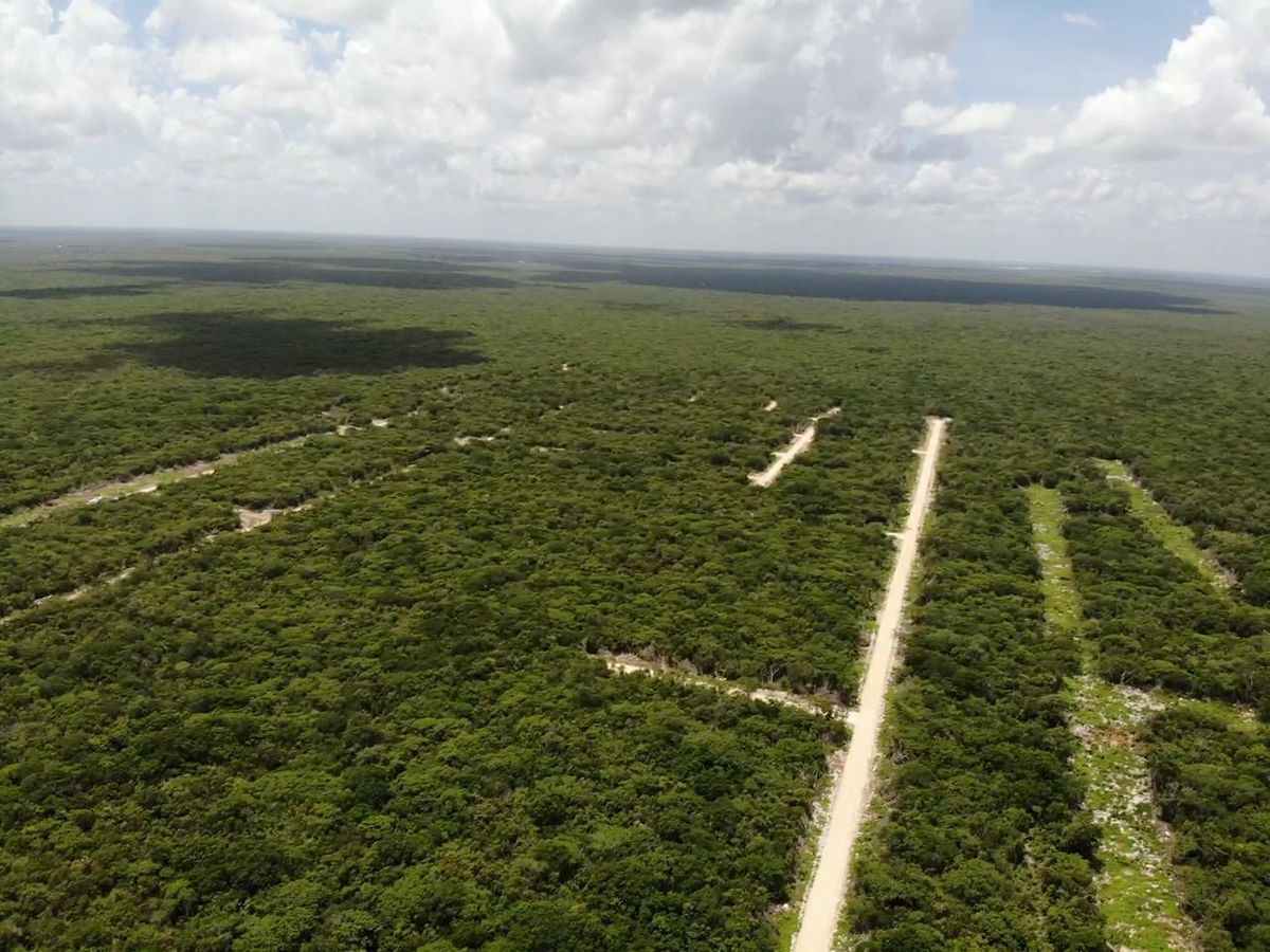 terreno-en-venta-cerca-de-la-playa-en-carretera-a-chicxulub-yucatn2-28267