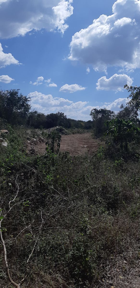terreno-en-venta-cerca-de-la-playa-en-carretera-a-chicxulub-yucatn6-28267