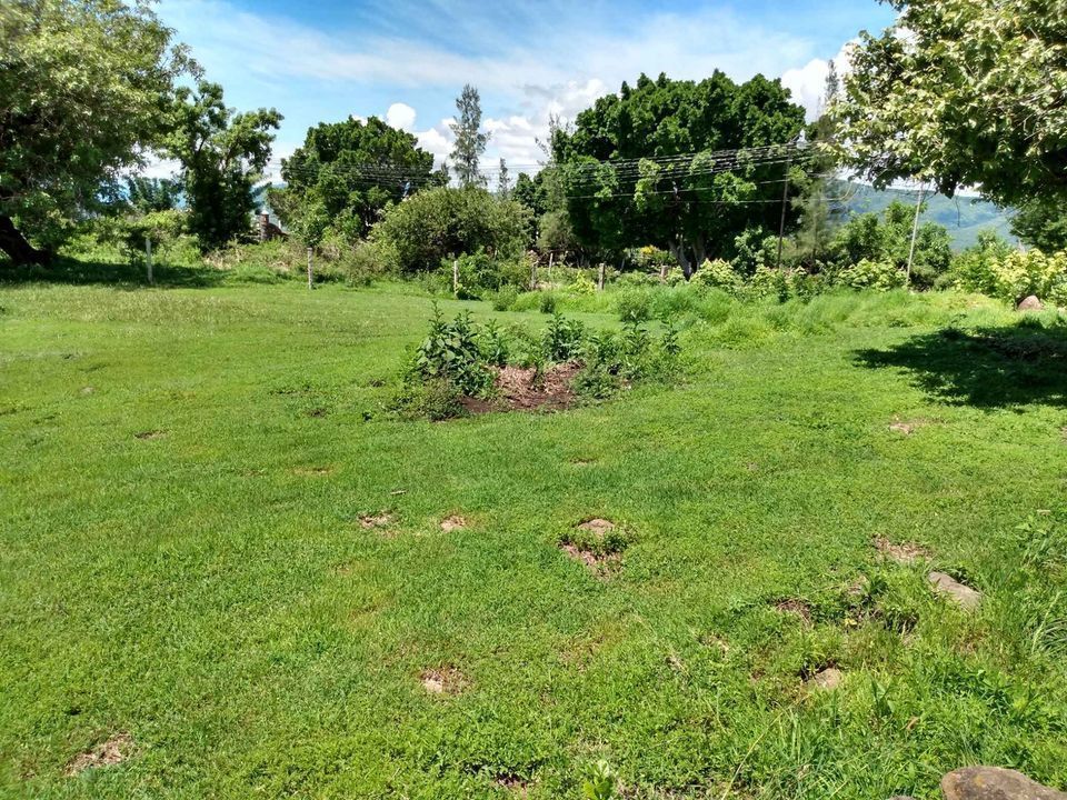 terreno-en-venta-colonia-chisco-tepoztln2-20204