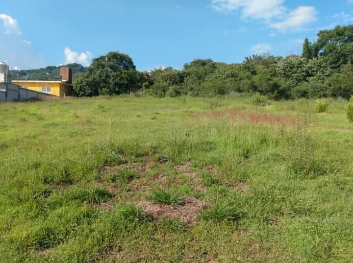 terreno-en-venta-colonia-chisco-tepoztln3-20203
