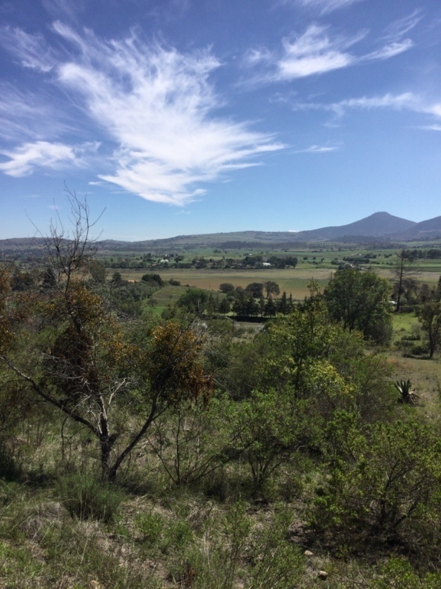 terreno-en-venta-con-colindancia-con-presa-en-arroyo-zarco-aculco-edo-de-mxico44-12323