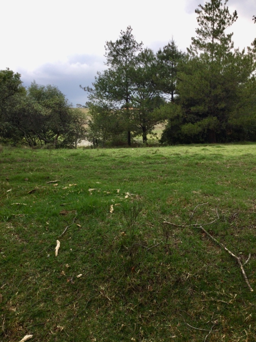 terreno-en-venta-con-hermosas-vistas-ideal-para-rancho-en-aculco-edo-de-mxico24-12324