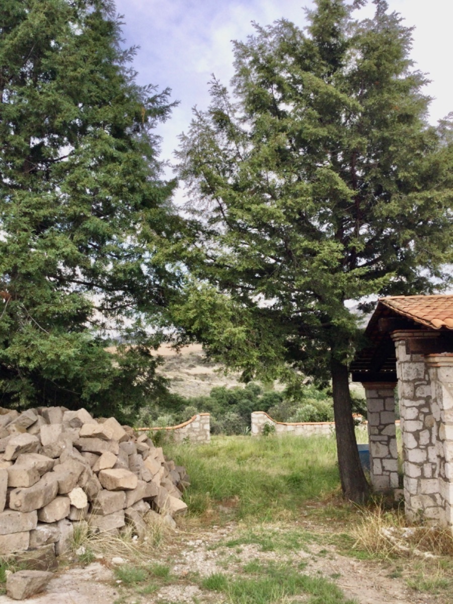 terreno-en-venta-con-hermosas-vistas-ideal-para-rancho-en-aculco-edo-de-mxico7-12324