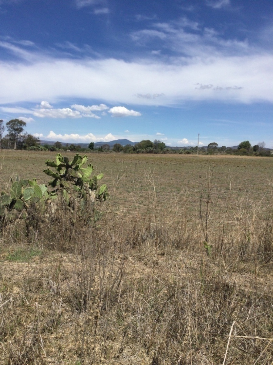 terreno-en-venta-de-1ha-en-san-antonio-polotitln-estado-de-mxico11-18905