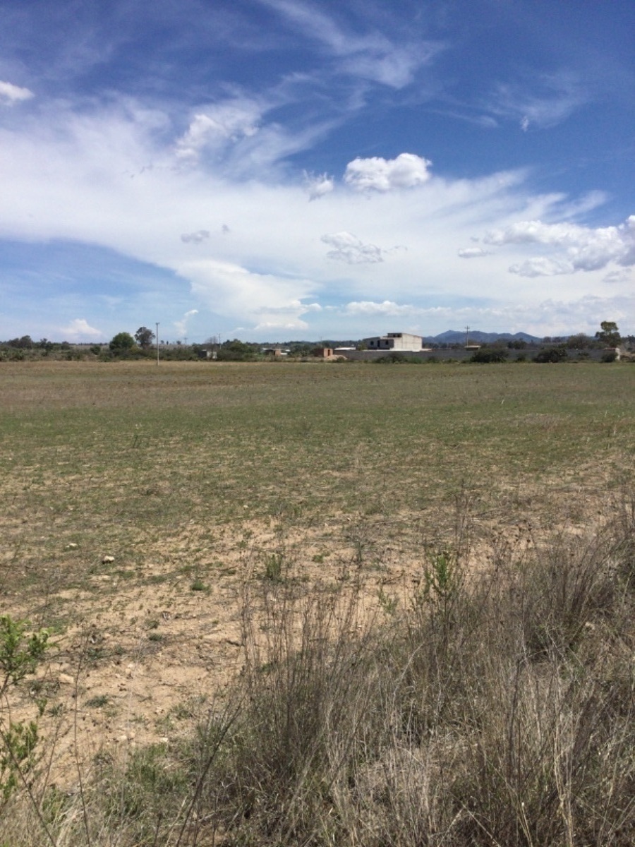 terreno-en-venta-de-1ha-en-san-antonio-polotitln-estado-de-mxico5-18905