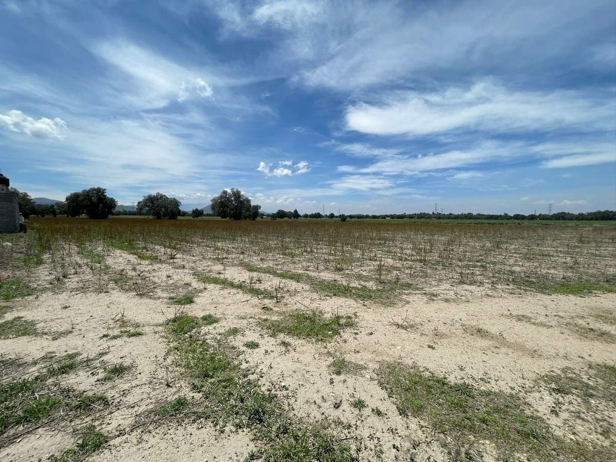 TERRENO EN VENTA EN ACOLMAN, ESTADO DE MÉXICO