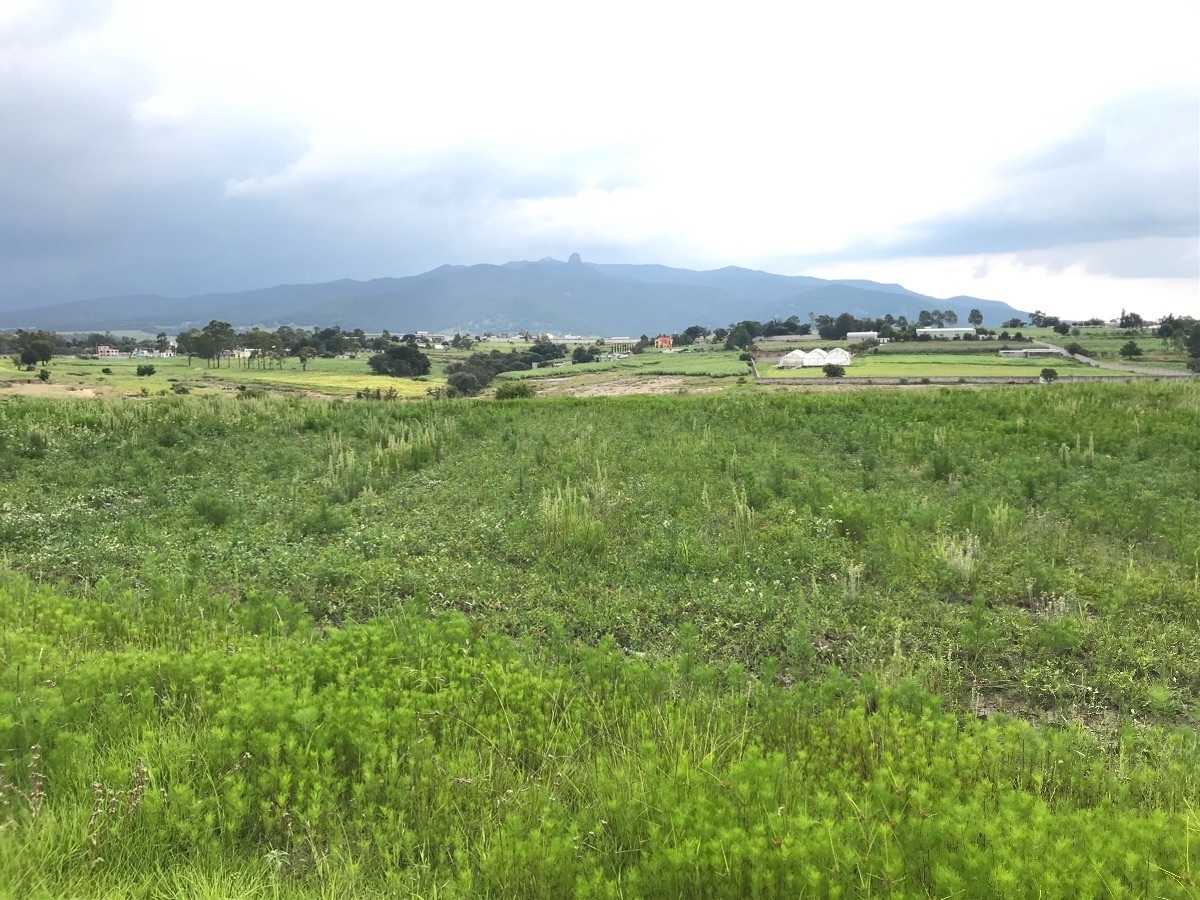 terreno-en-venta-en-aculco-estado-de-mxico2-12320