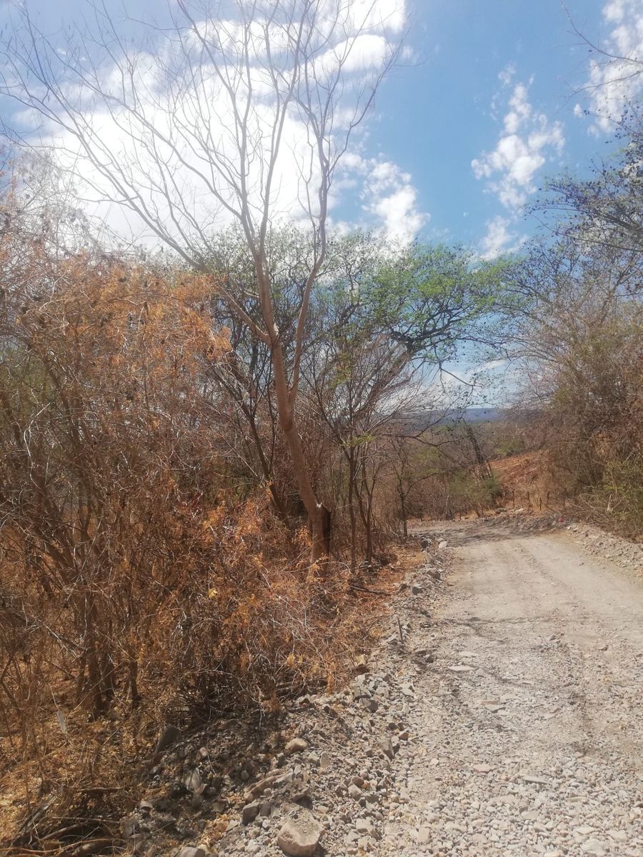 terreno-en-venta-en-amatlan-de-caas2-31501