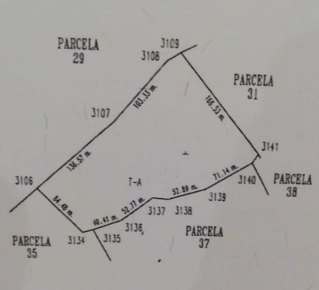 terreno-en-venta-en-amatlan-de-caas3-31501