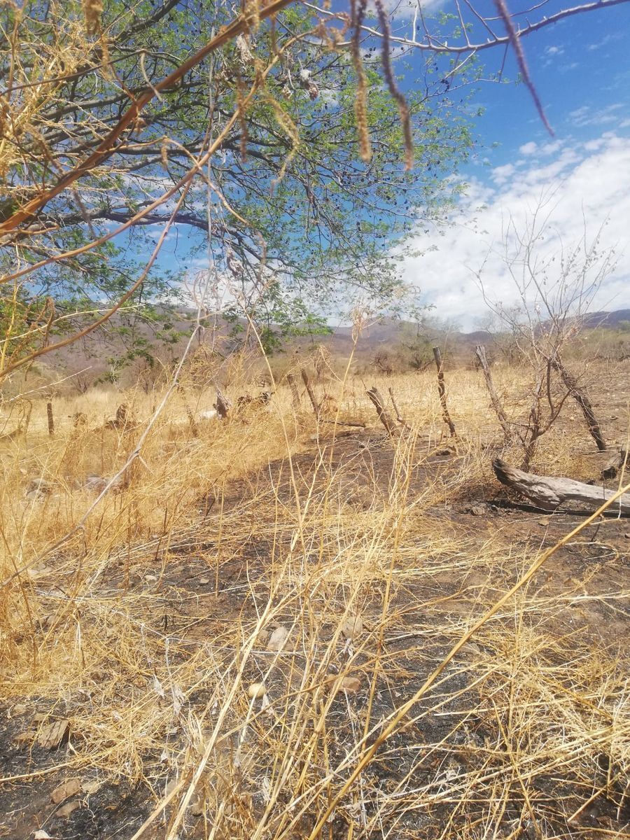 terreno-en-venta-en-amatlan-de-caas9-31501
