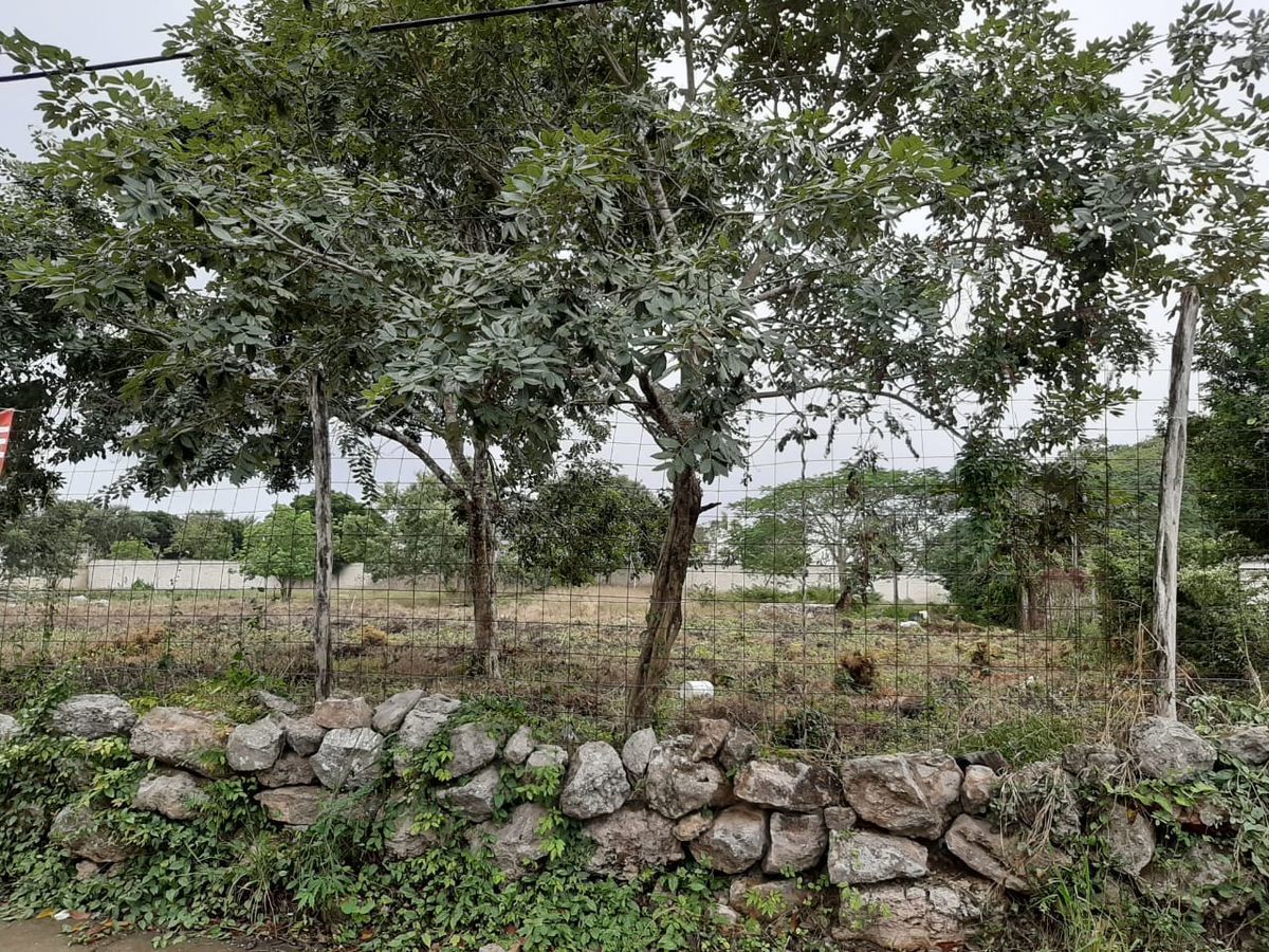 terreno-en-venta-en-cholul-yucatn8-17367