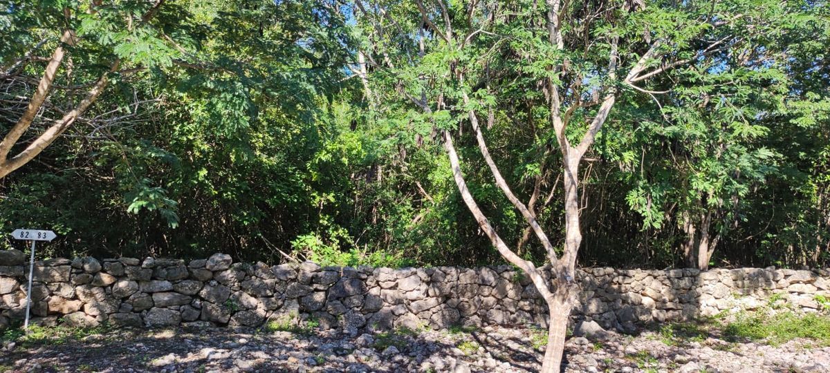 terreno-en-venta-en-dzibilchaltun-en-privada-puerta-mayab12-34414
