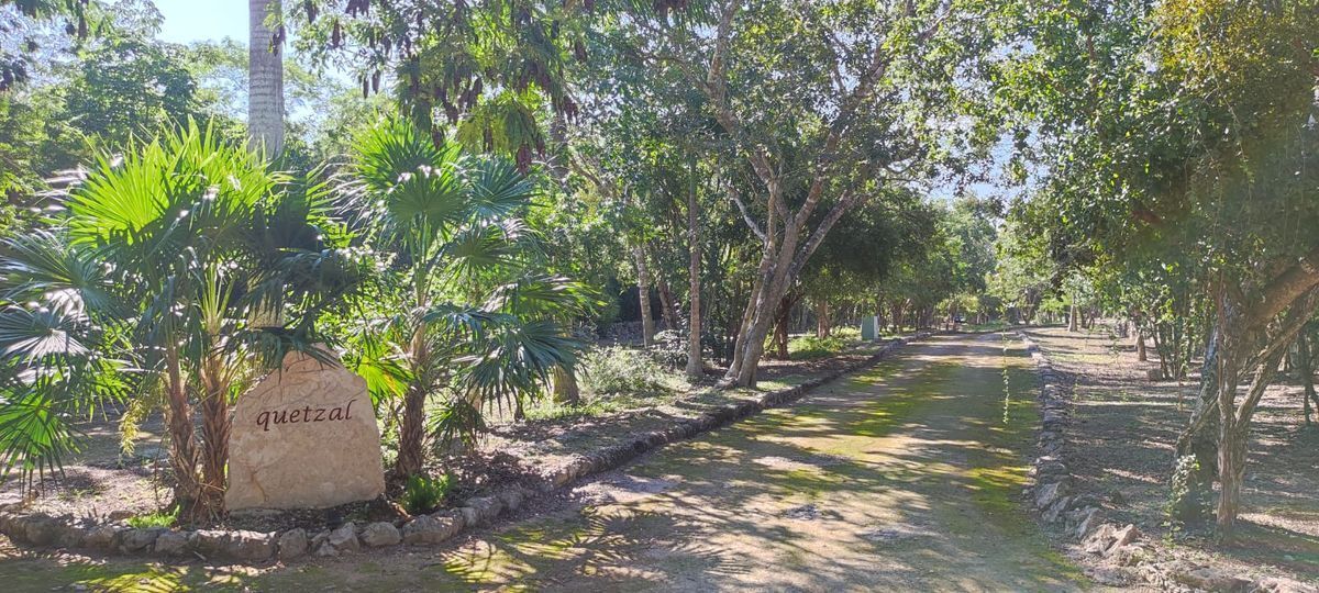 terreno-en-venta-en-dzibilchaltun-en-privada-puerta-mayab16-34414