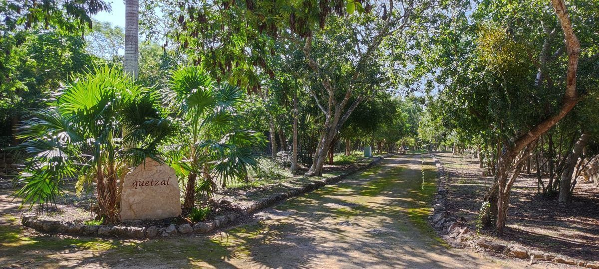 terreno-en-venta-en-dzibilchaltun-en-privada-puerta-mayab27-34414