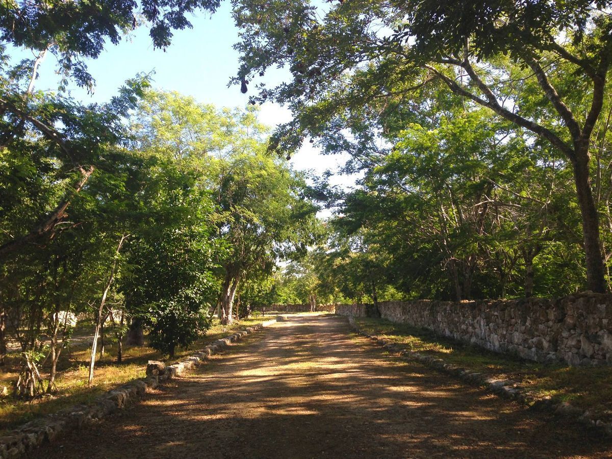 terreno-en-venta-en-dzibilchaltun-en-privada-puerta-mayab3-34414