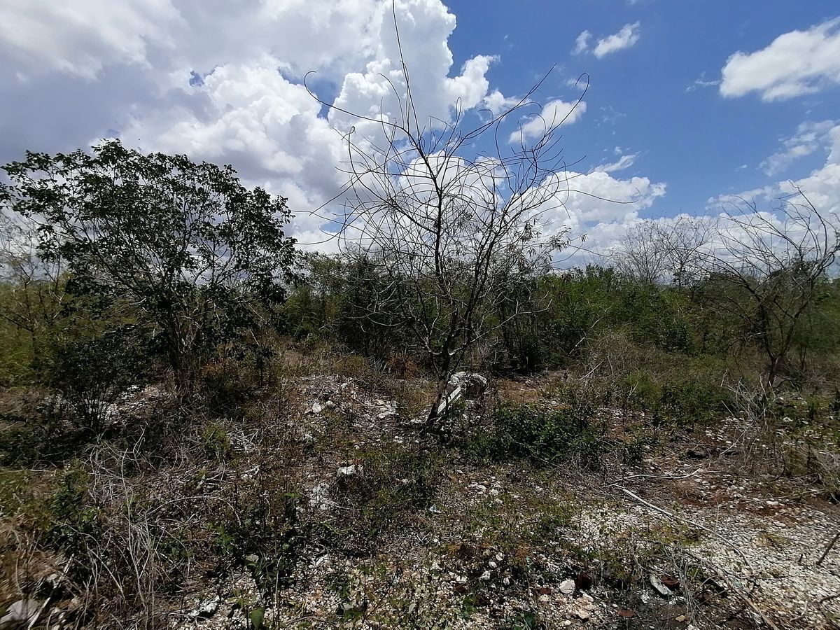 terreno-en-venta-en-dzitya-merida-yucatan12-29426