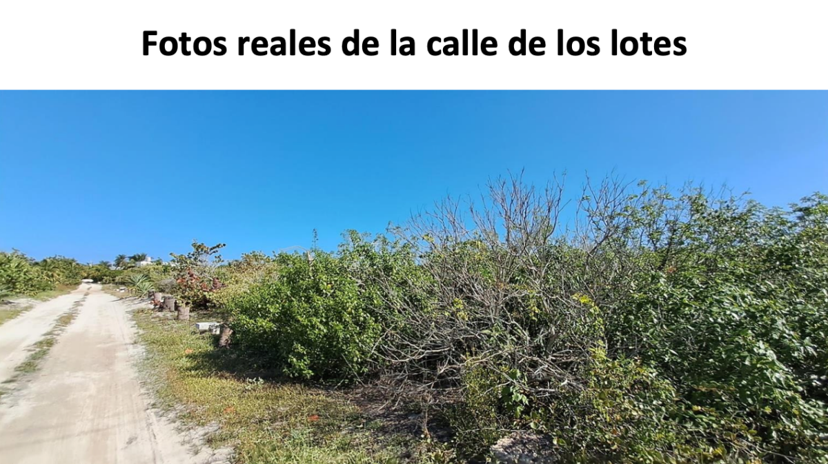terreno-en-venta-en-km14-en-chicxulub-puerto6-18518