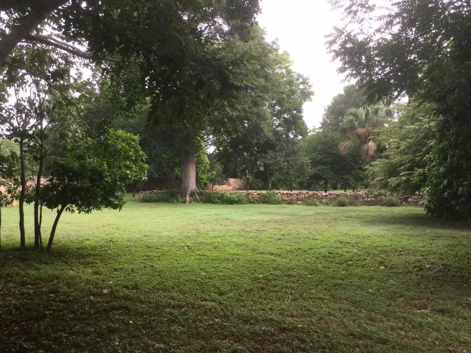 terreno-en-venta-en-maxcanu-yucatn-127-ha14-33412