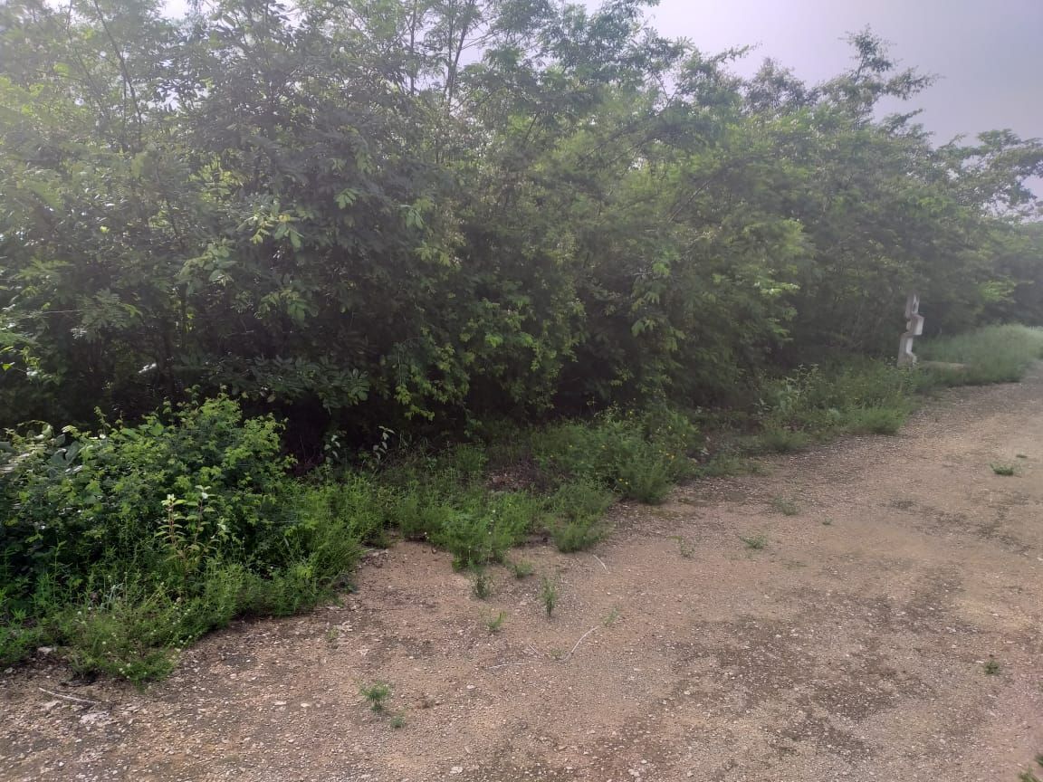 terreno-en-venta-en-merida-con-servicios-ubicado-en-baca3-24709