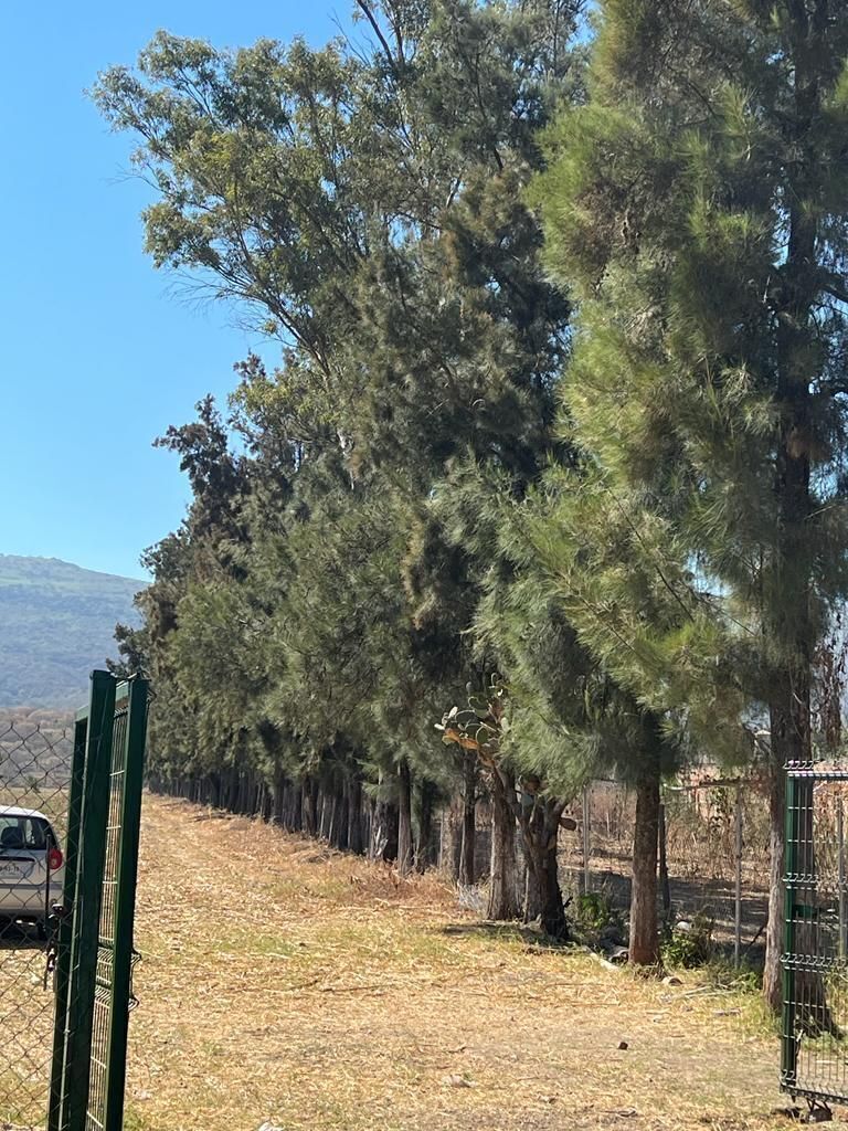 terreno-en-venta-en-naturalia-cajititln5-11909
