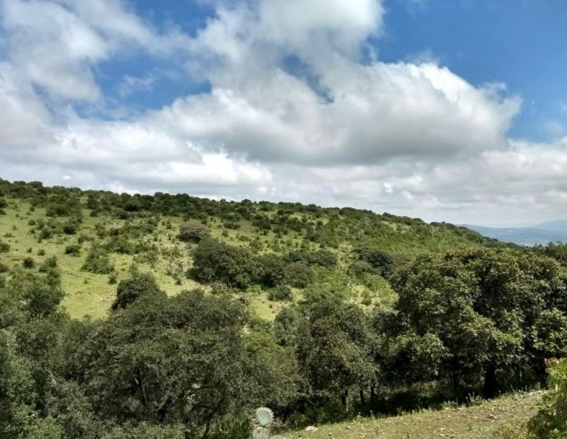 terreno-en-venta-en-quertaro9-27936