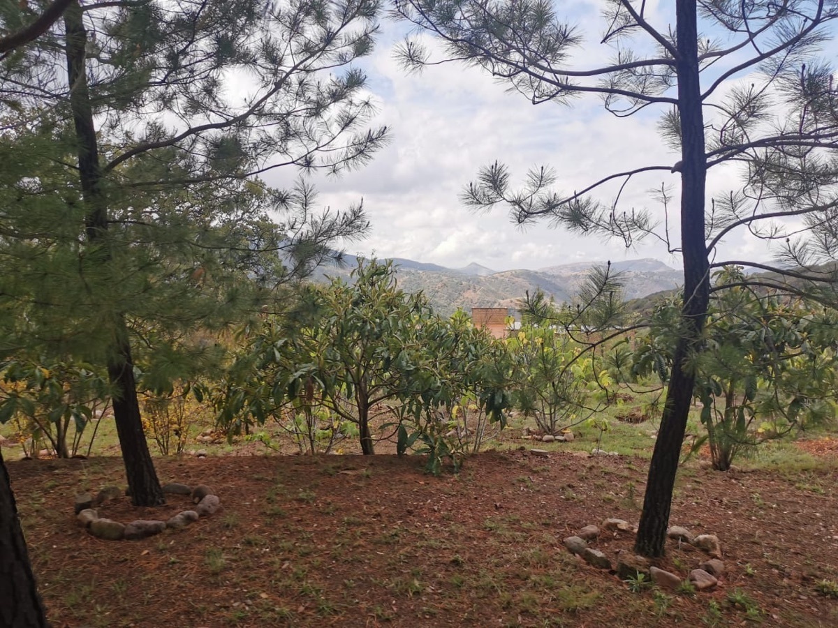 terreno-en-venta-en-sierra-de-santa-rosa-en-guanajuato-gto5-29130