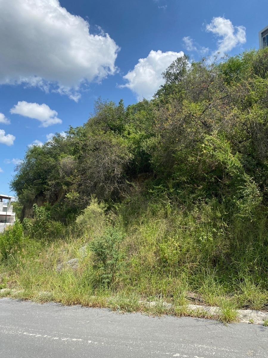 terreno-en-venta-jardines-de-valle-alto-por-camino-al-diente8-19501