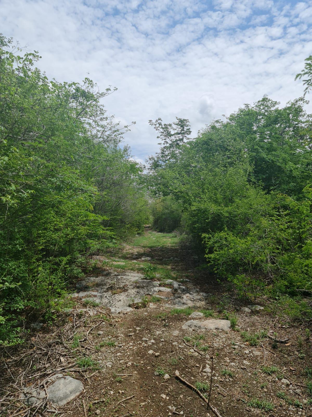 terreno-en-venta-para-desarrollo3-29894