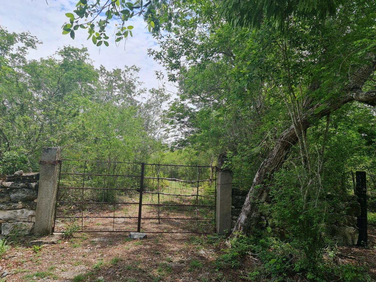 terreno-en-venta-para-desarrollo5-29894