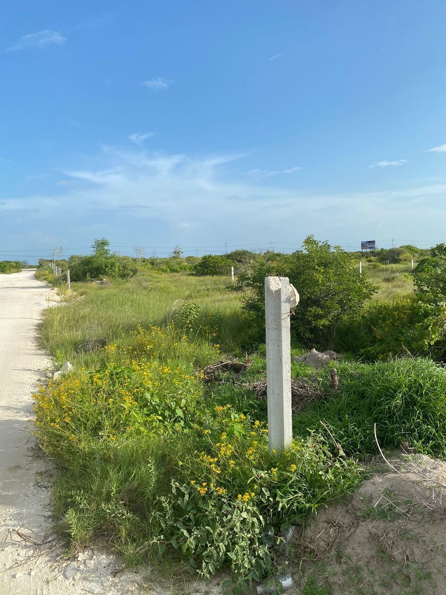 terreno-en-venta-playa-merida-chicxulub3-35291