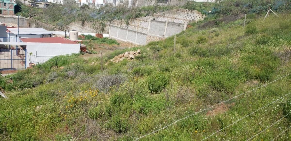 terreno-en-venta-sobre-boulevard-zertuche2-29365