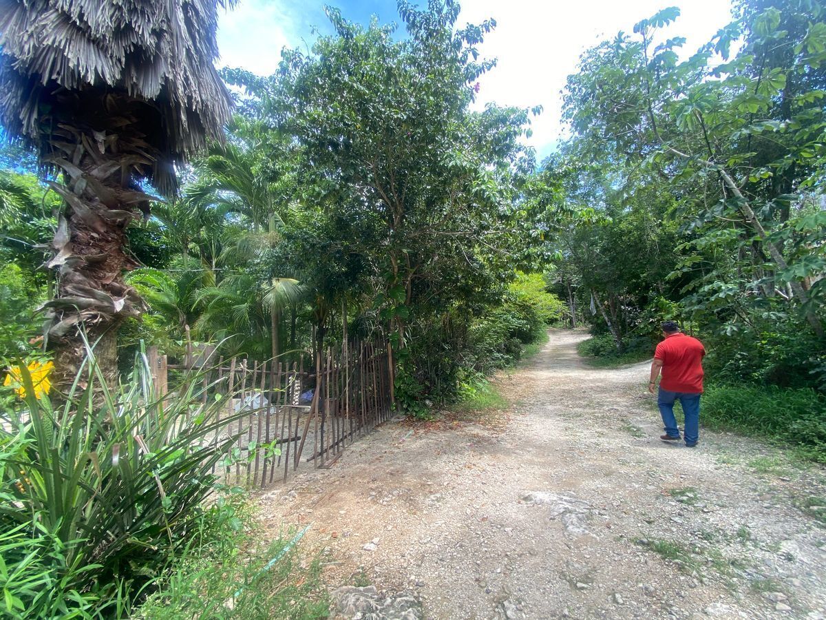 terreno-en-venta-tulum-mexico12-19858