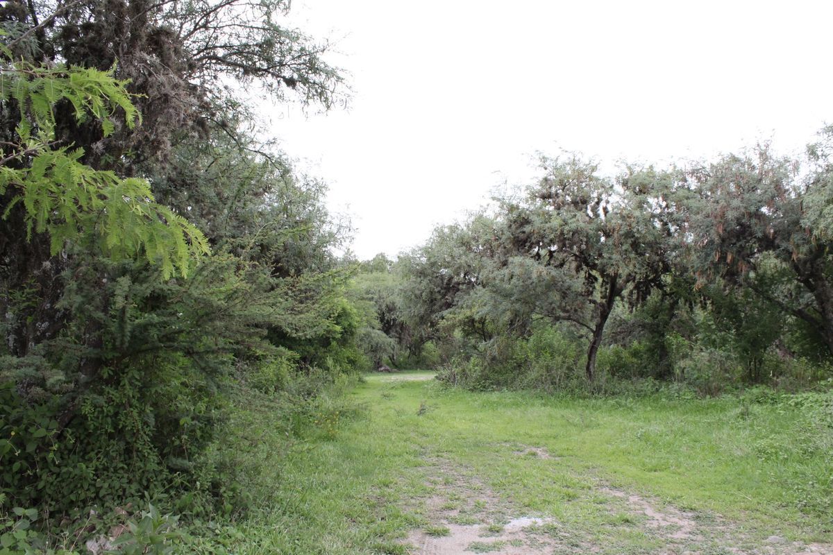 terreno-los-huizaches-huimilpan3-22937