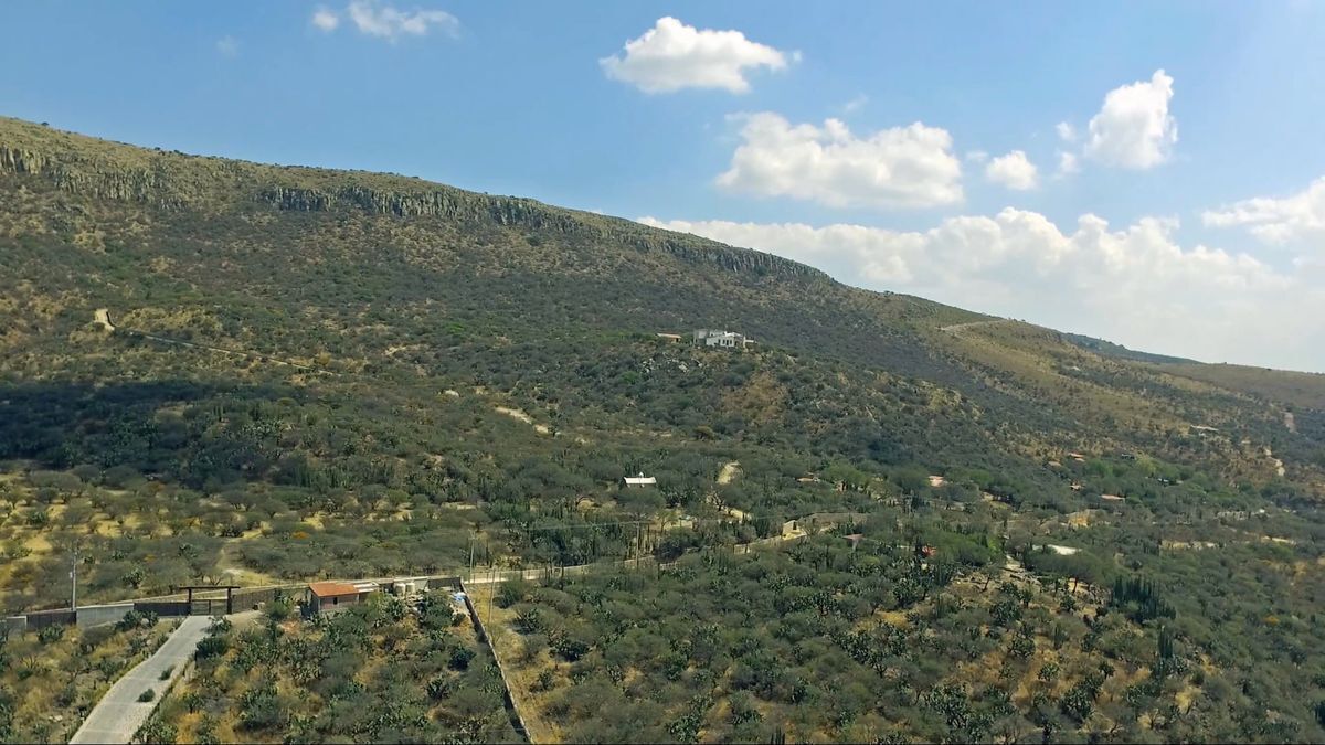 terreno-palo-colorado10-25988