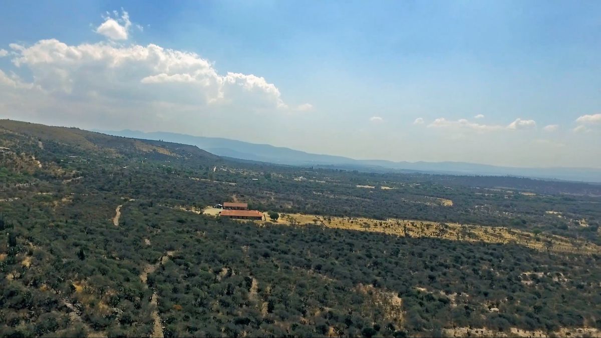 terreno-palo-colorado11-25988