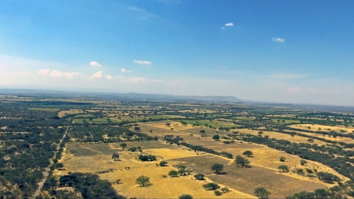 terreno-palo-colorado12-25988