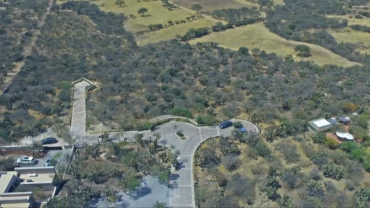 terreno-palo-colorado7-25988