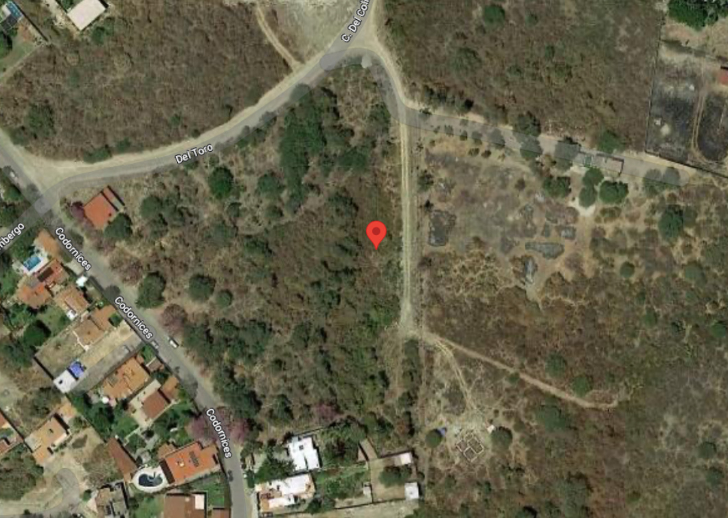 terreno-para--desarrolladores-vista-a-la-laguna-de-chapala10-15755