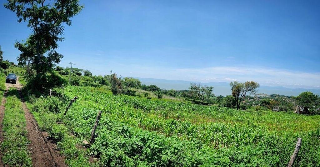 terreno-para--desarrolladores-vista-a-la-laguna-de-chapala3-15755