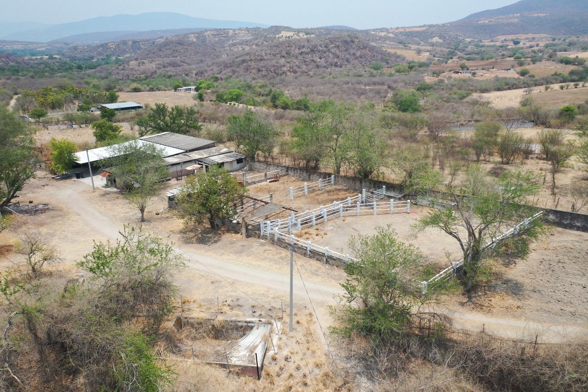 terreno-para-inversin-en-puente-de-ixtla-morelos17-37068