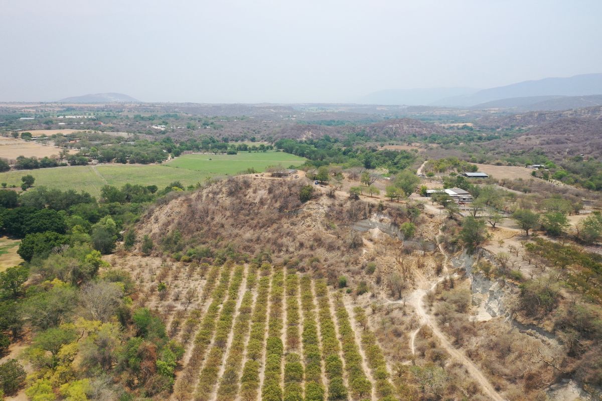 terreno-para-inversin-en-puente-de-ixtla-morelos2-37068