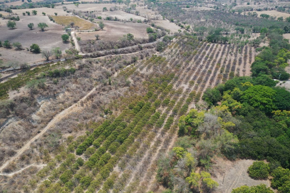 terreno-para-inversin-en-puente-de-ixtla-morelos5-37068