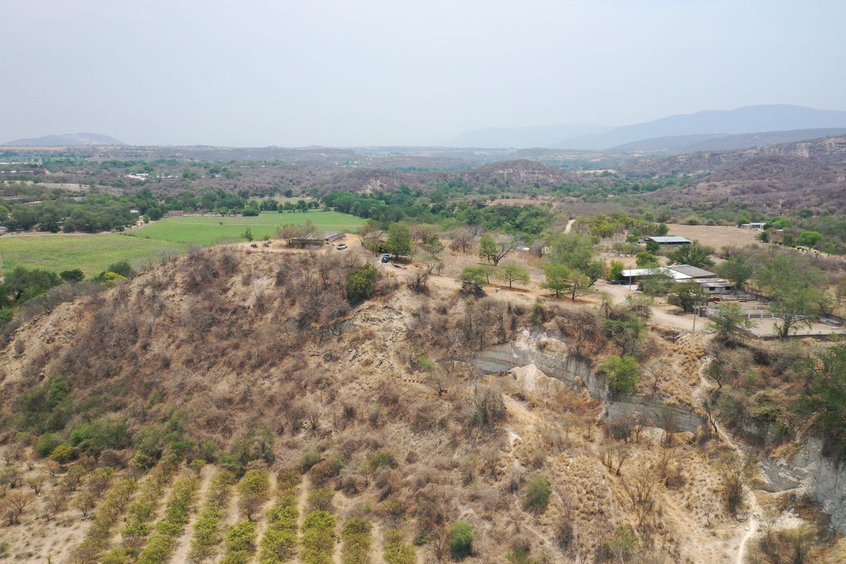 terreno-para-inversin-en-puente-de-ixtla-morelos7-37068