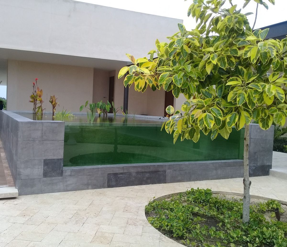 terreno-premium-en-residencial-high-end4-32102