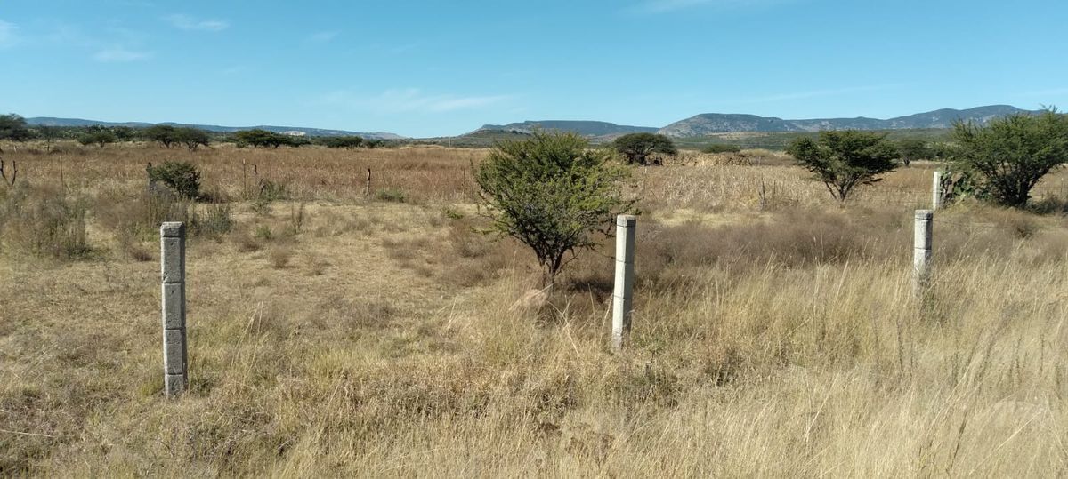 terreno-rstico-en-venta-a-pie-de-carretera-cercano-a-san-felipe-en-guanajuato6-29190