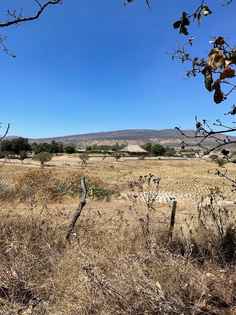 terreno-rumbo-a-san-isidro-mazatepec-atrs-de-plazas-outlet-y-galera-santa-anit2-22035