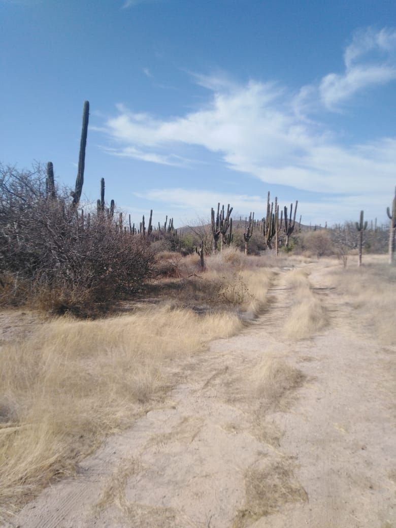 terreno-rustico-en-venta-salida-a-los-planes2-37563