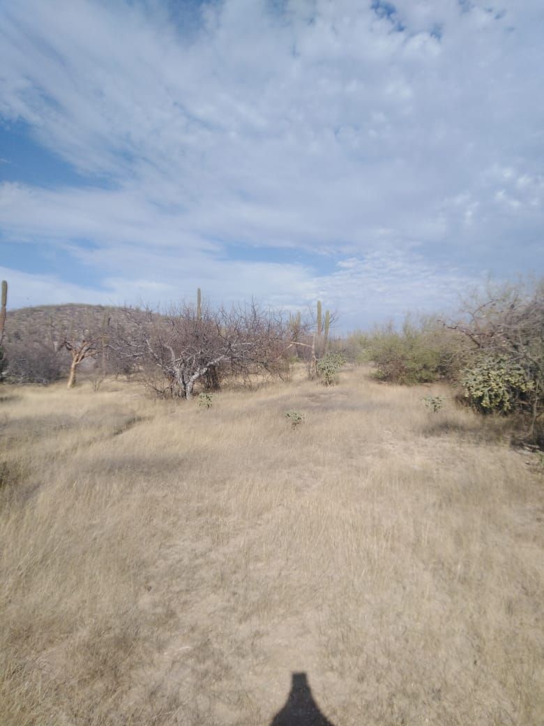 terreno-rustico-en-venta-salida-a-los-planes3-37563