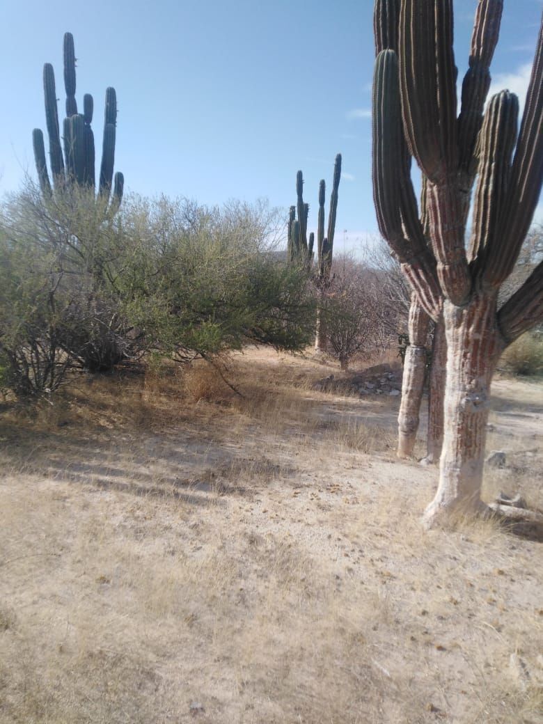 terreno-rustico-en-venta-salida-a-los-planes5-37563