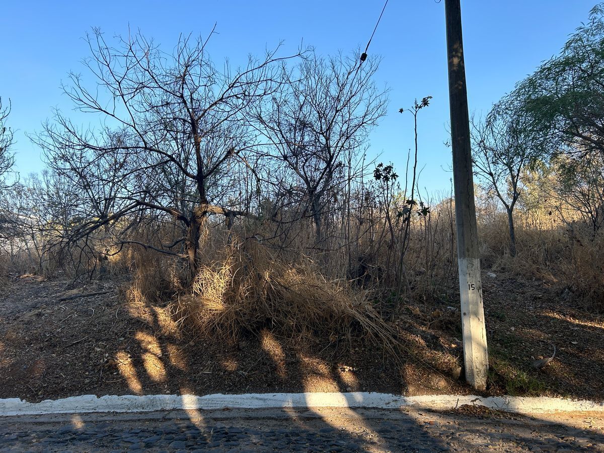 terreno-semi-plano-en-venta-las-caadas-zapopan-jal5-37297